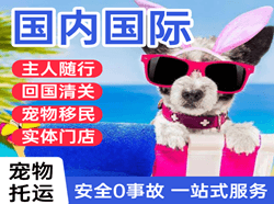 黑河瑷珲机场物流国际宠物托运 【国